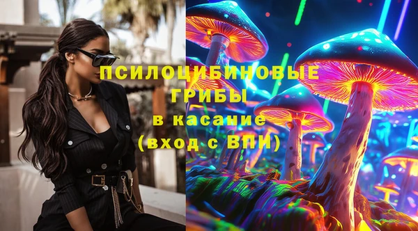 дживик Каменногорск