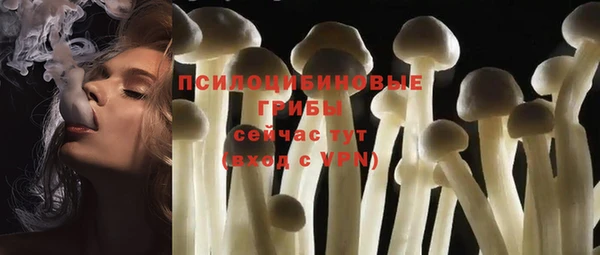 MESCALINE Яранск