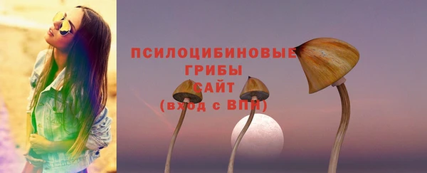 соль курить ск Каменка