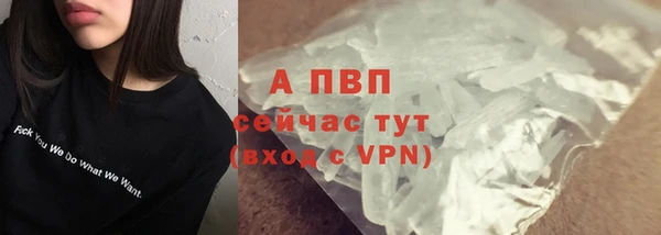 дживик Каменногорск