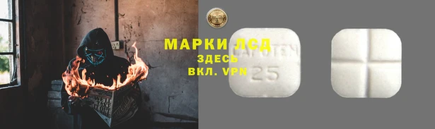 дживик Каменногорск