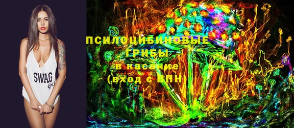 соль курить ск Каменка