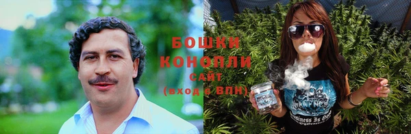 дживик Каменногорск
