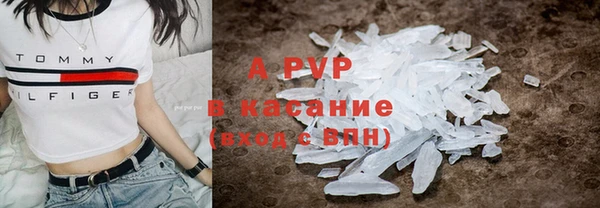 дживик Каменногорск