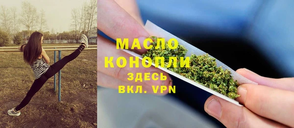 соль курить ск Каменка