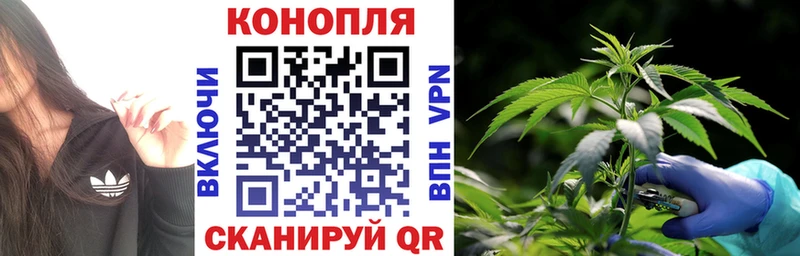 Конопля SATIVA & INDICA  Купить  Магас 